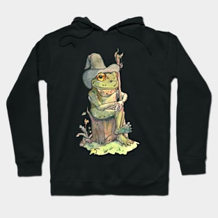 frog wizard Hoodie